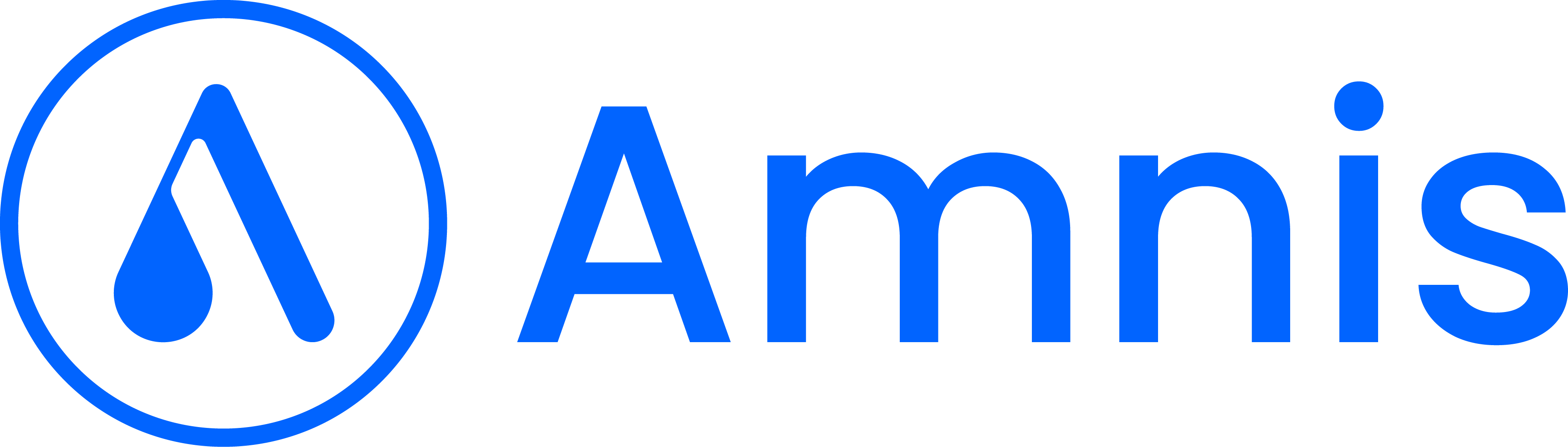 Amnis Logo