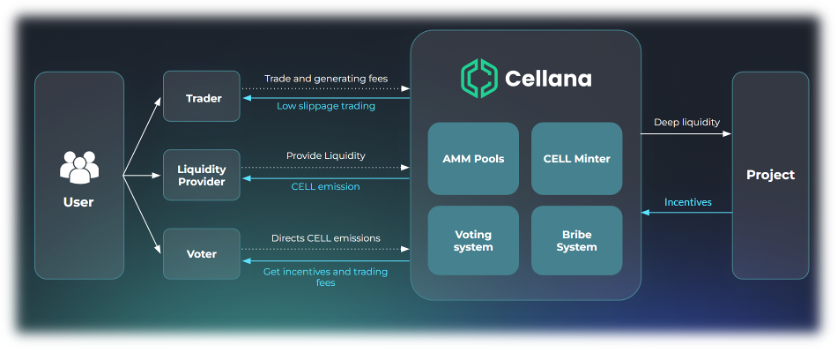 Cellana DEX ve(3,3) mechanism diagram